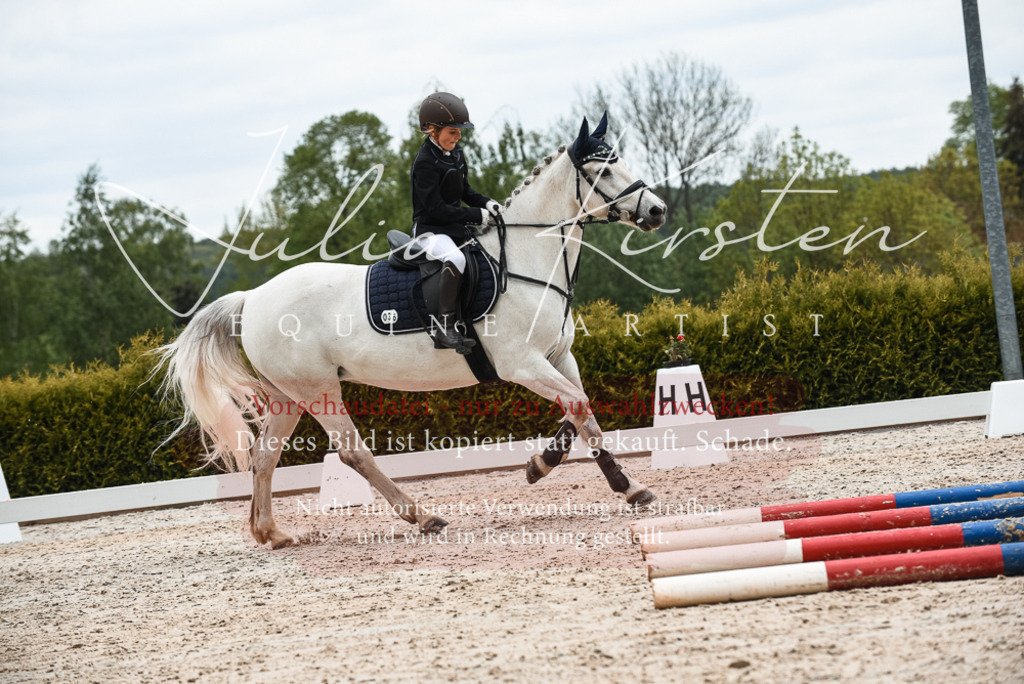 20230518_JK-Röhrsdorf-10-521 | Pferde- und Turnierfotografie in Westsachsen. Pferdeportraits, Auftragszeichnungen und intuitive Kunst.