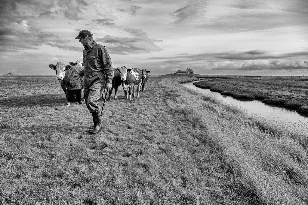 Halligbauern Honke Johannsen und Sohn Nils auf Langeneß © Holger Rüdel | Der Online-Shop von Holger Rüdel. Ausgewählte Fotografien als FineArt-Prints bestellen: Bildreportagen, Landschaften, Wildlife, History, Infrarot-Motive in Schwarzweiß und Verschiedenes.  - Realisiert mit Pictrs.com