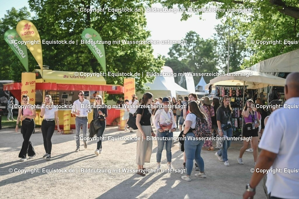 D78_3778 | equistock