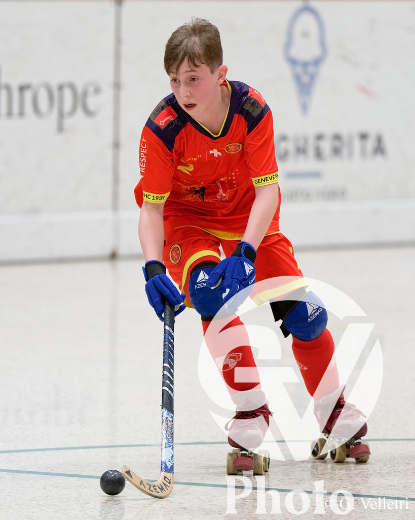 DSC_6778 | Velletri Photo