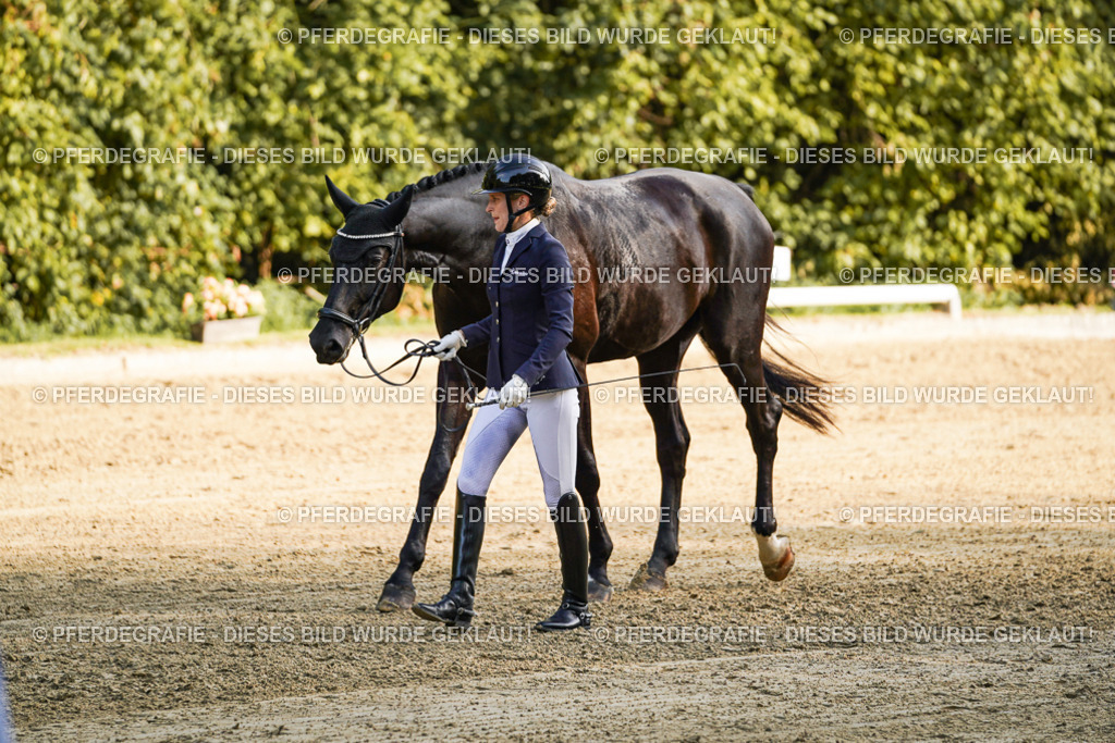 DSC04984 | Pferdegrafie