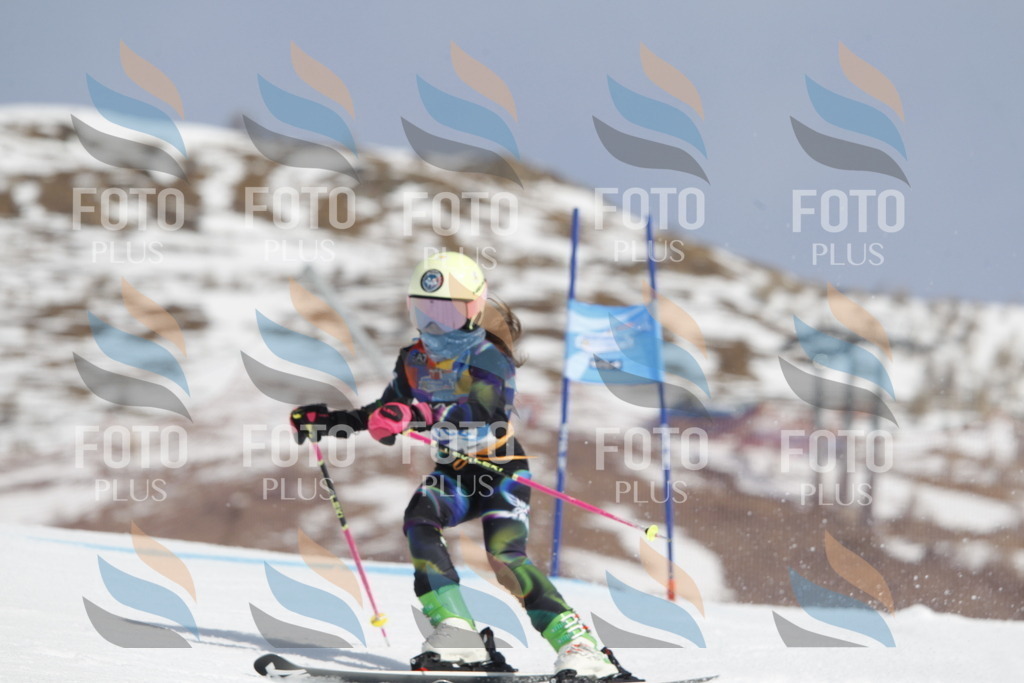 _U3G1762 | holidayphoto