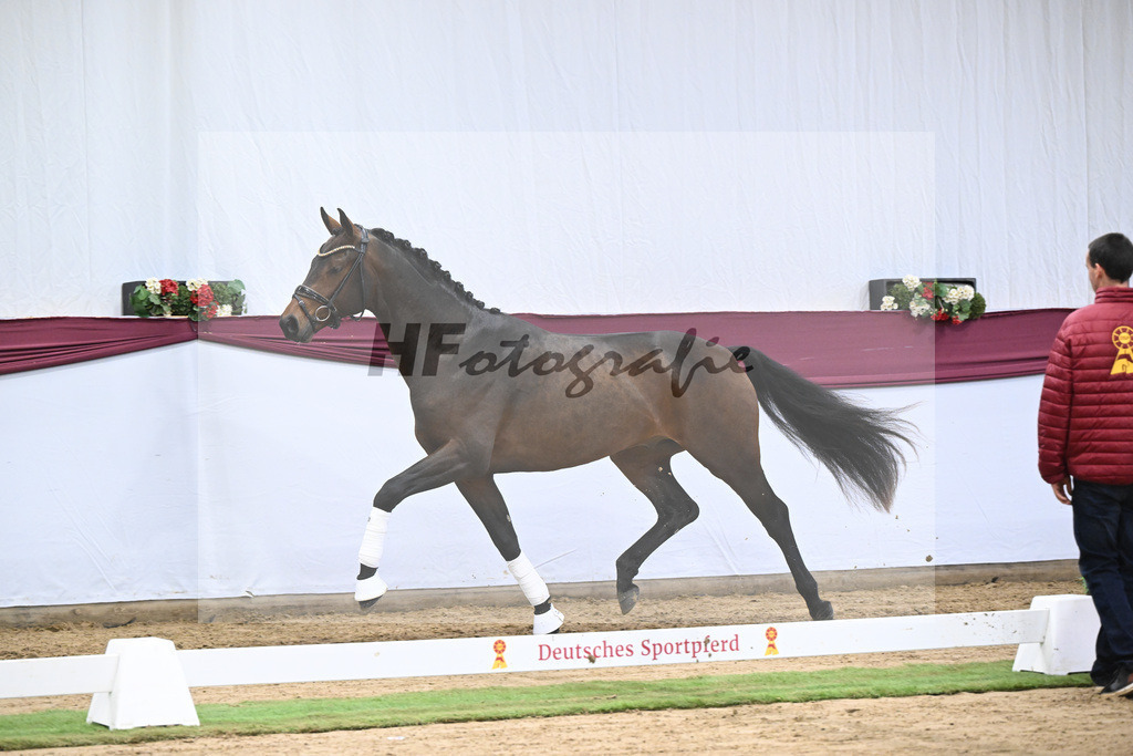 Kat-Nr. 123 Elastic x Belissimo M_Limbecker GnbH u Co. KG_47254070 | hf-fotografie - Realisiert mit Pictrs.com