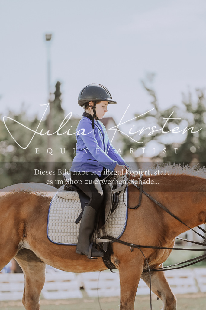 DSC_7527 | Pferde- und Turnierfotografie in Westsachsen. Pferdeportraits, Auftragszeichnungen und intuitive Kunst.