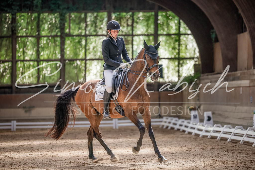 20250621-_3LI0148 | Tierfotografie Pferde, Hunde, Katzen, Haustiere.
Turnierfotografie Reitturniere, Reiten, Springreiten, Dressur in Hanau, dem Main-Kinzig-Kreis und dem Rhein-Main- Gebiet um Frankfurt