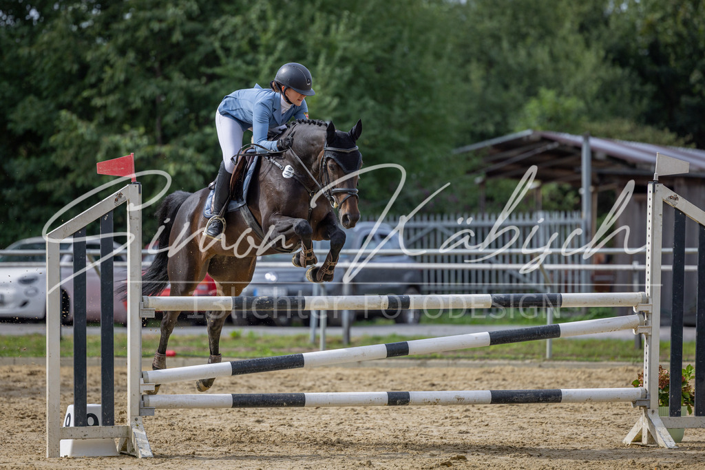 20260905-_3LI7537 | Tierfotografie Pferde, Hunde, Katzen, Haustiere.
Turnierfotografie Reitturniere, Reiten, Springreiten, Dressur in Hanau, dem Main-Kinzig-Kreis und dem Rhein-Main- Gebiet um Frankfurt