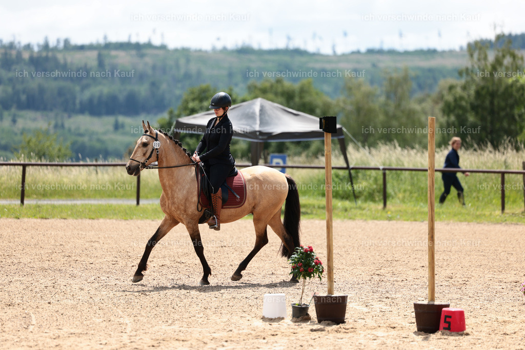 KlasseE_Stoibphotography_CAM22444.JPG | working equitationturnier fotograf videograf stoibphotography marixx film working equitation deutschland reitsport turnierfotografie eventfotografie equestrian events