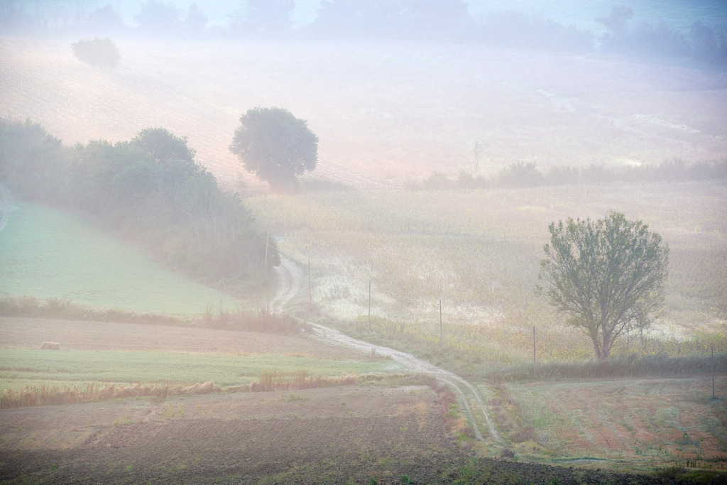 Weg durch Felder im Nebel | Pozzuolo, Italien - September 09, 2016: Weg durch Felder im Nebel. - Realisiert mit Pictrs.com