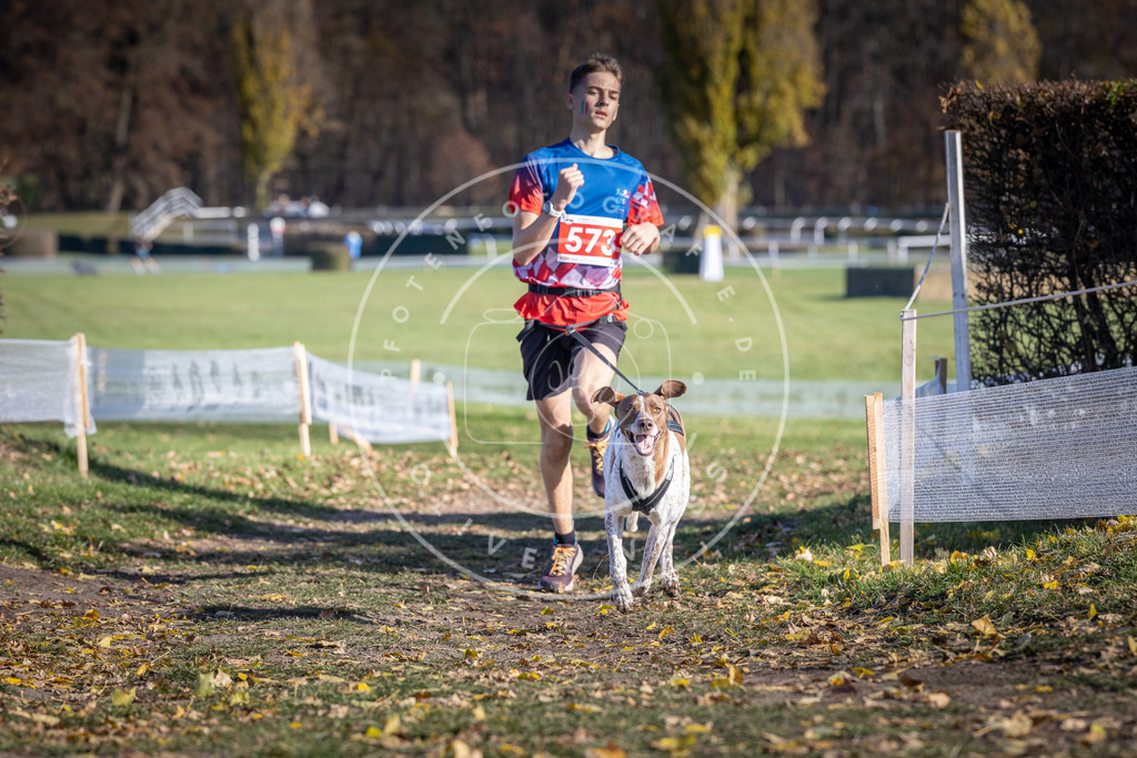 CaniXpix_DV3A8907 | Hundefotografie, Tierfotograf, Pfotenfotografie, Fotoshooting Hund, Hunde Portrait, Hundesport, Hundeportraits, Heideshooting, Hunde, Sportfotograf, Hundefotograf, Turnierhundsport, THS,  - Realisiert mit Pictrs.com