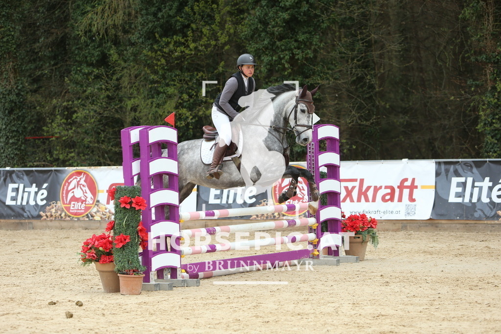 DL2Q1988 | Willkommen bei Brunnmayr - Design & Fotografie – Ihrem Spezialisten für Reitturniere und Pferdeveranstaltungen in Oberösterreich, Salzburg und Bayern! Seit über 17 Jahren sind wir leidenschaftlich dabei.