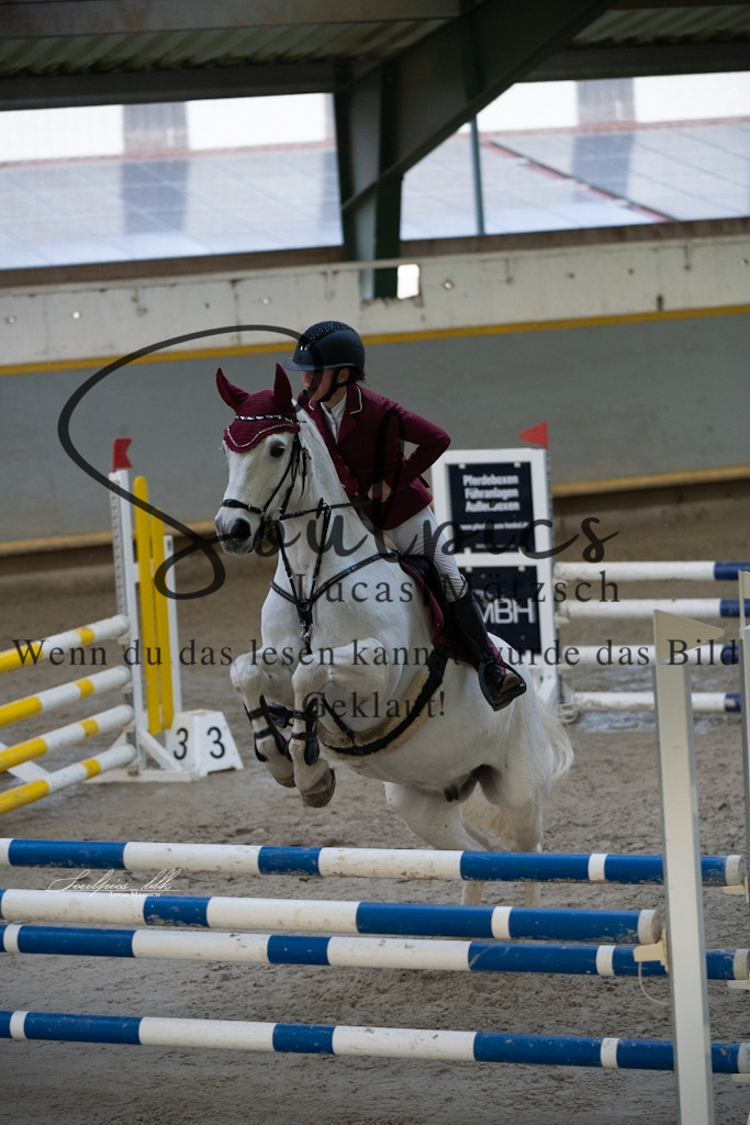 A7V01643 | Pferdefotograf