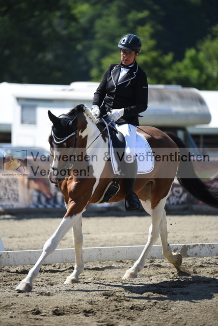 DSC_8213 | equestrian-live-com