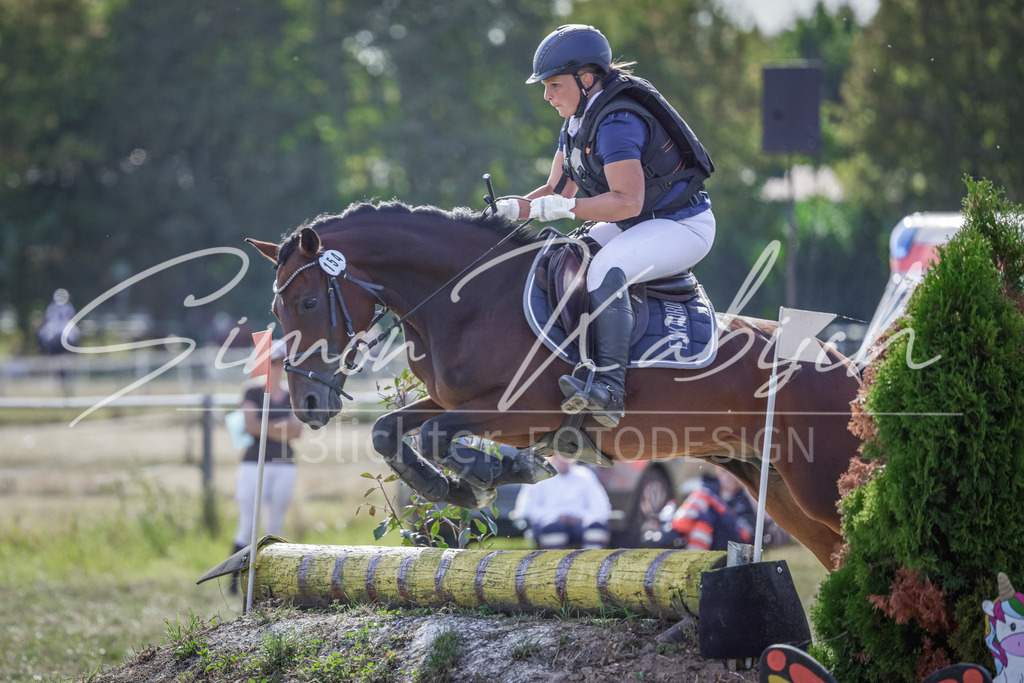 20250906-_3LI7119 | Tierfotografie Pferde, Hunde, Katzen, Haustiere.
Turnierfotografie Reitturniere, Reiten, Springreiten, Dressur in Hanau, dem Main-Kinzig-Kreis und dem Rhein-Main- Gebiet um Frankfurt