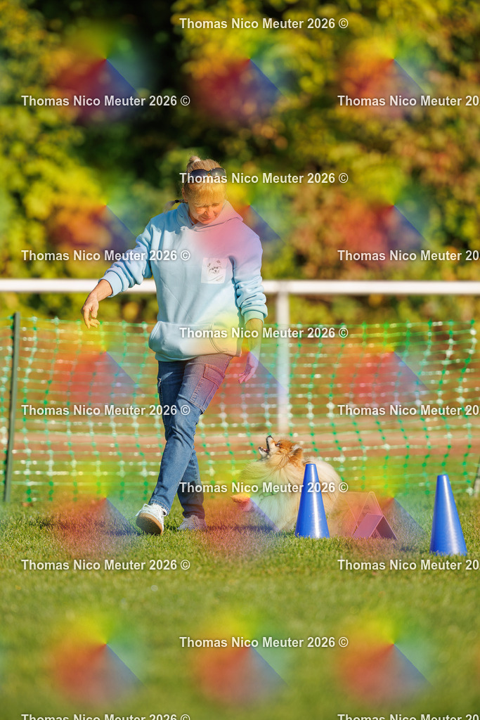 Thomas_Nico_Meuter(C)_04. Oktober 2026_223A0559 | Bild von Thomas Nico Meuter - Realisiert mit Pictrs.com