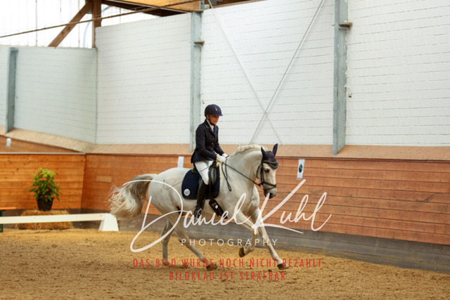 _62_7229 | Turniersportfotografie; Pferdefotografie; Dressurfotografie