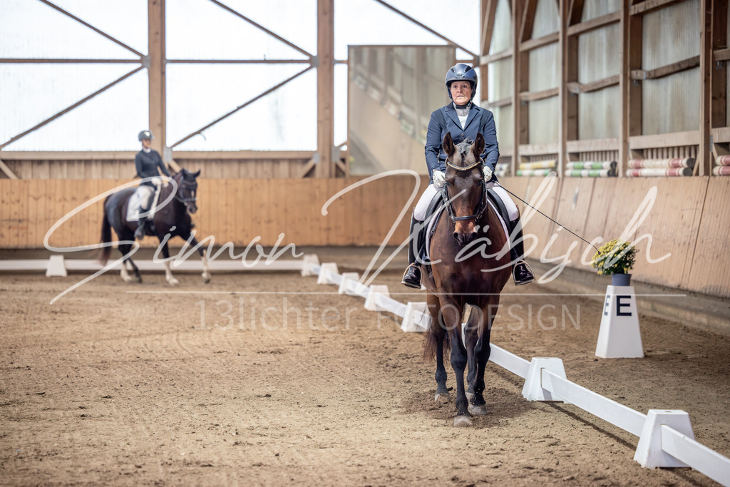 20251011-_3LI9251 | Tierfotografie Pferde, Hunde, Katzen, Haustiere.
Turnierfotografie Reitturniere, Reiten, Springreiten, Dressur in Hanau, dem Main-Kinzig-Kreis und dem Rhein-Main- Gebiet um Frankfurt