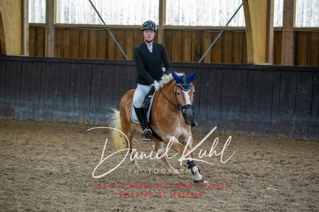 IMG_1982 | Turniersportfotografie; Pferdefotografie; Dressurfotografie