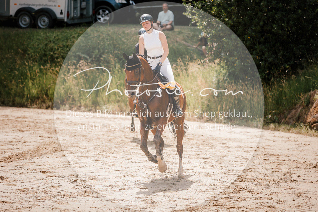 3I6A8162 | Stimmungsvolle Portraits und Reitsportfotografie im Ruhrgebiet und im Münsterland.

Pferdefotografie, Hundefotografie, Tierfotografie, Reportagen, Portraits von Tier und Mensch, Turnierfotografie in Bochum, Recklinghausen, Marl, Haltern am See, Dülmen.. - Realisiert mit Pictrs.com
