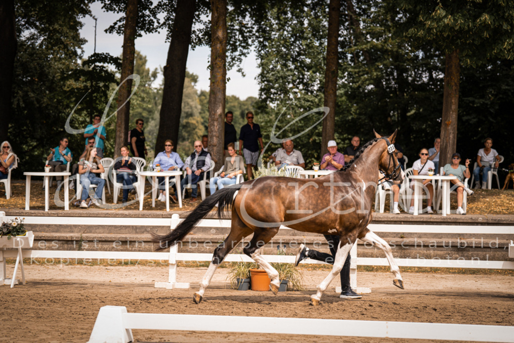 3.Fr00174 | Leoni Ertmer Photography - Realisiert mit Pictrs.com