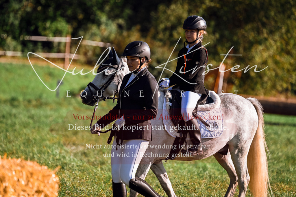 DSC_0406 | Pferde- und Turnierfotografie in Westsachsen. Pferdeportraits, Auftragszeichnungen und intuitive Kunst.