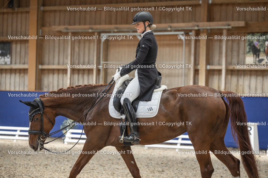 _D5A9682 | Emotionale Pferde- & People-Fotografie rund um Heidelberg, Leimen & Umgebung. Natürliche Fotos von Pferd, Mensch & Familie. Jetzt Termin sichern!