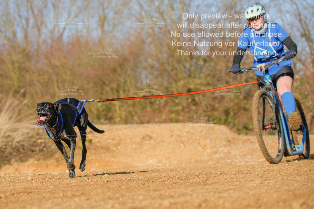 So_DVGBSP2025_Scooter (263 von 286) | stephaniefillaphotographie - Realisiert mit Pictrs.com