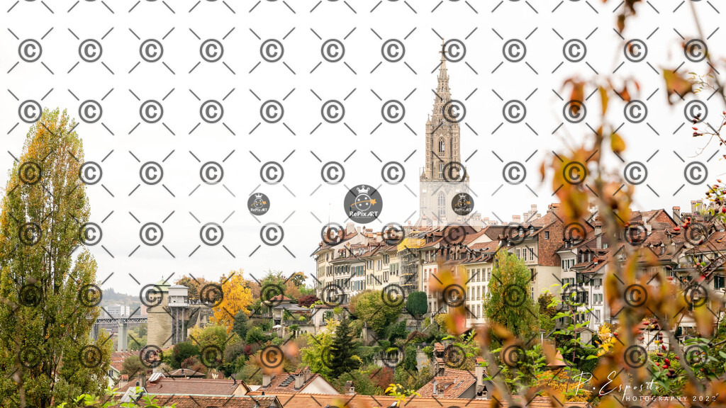20221014_Bern_0155 | Sport und Naturfotografie von Roberto Esposito zeigt echte Momente Bewegung und die Schönheit der Natur. Ausdrucksstarke Bilder schaffen Emotionen.