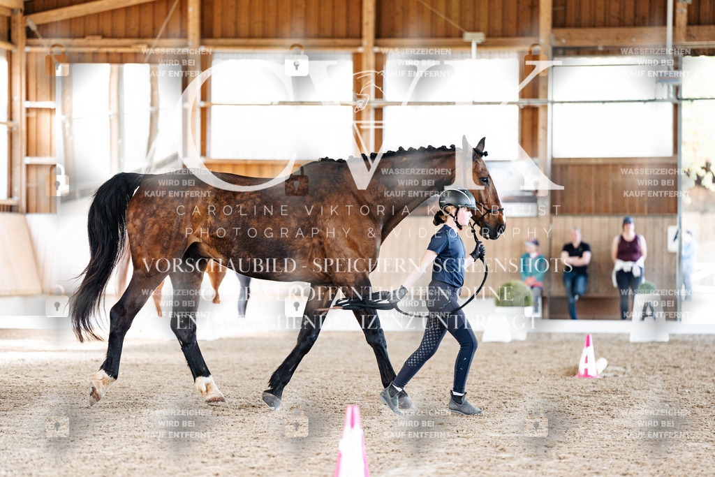 CK905767 | Turnierfotografie Pferdefotografie Trier Rheinland-Pfalz Pferdesport Reitsport Tierfotografie Sportfotografie Pferdevideo Pferdevideografie Equestrianvideography equestrianphotography  - Realisiert mit Pictrs.com
