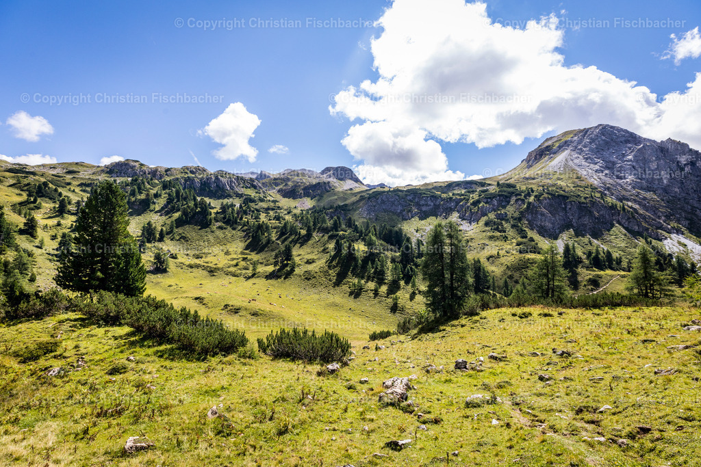 Fotos_Copyright_Chri_Fischbacher_Druck-244 | Bildershop Chri Fischbacher - Realisiert mit Pictrs.com