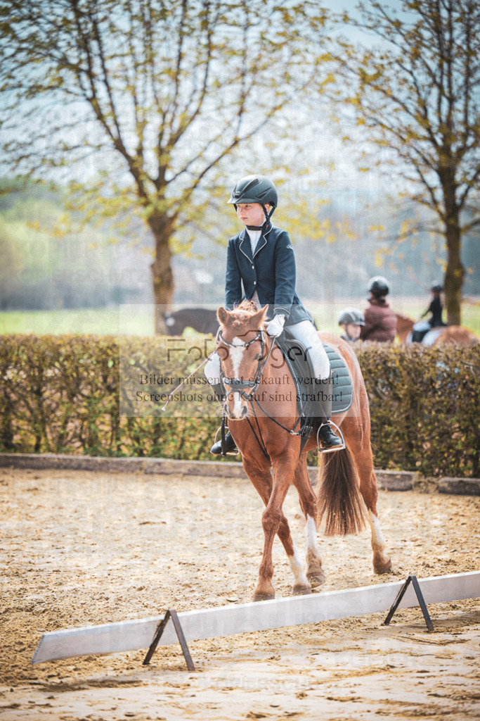 DOS_6142 | Entdecke hochwertige Reitturnierfotos von Foto Oger. Professionell, emotional und authentisch – jetzt Lieblingsmomente im Shop bestellen.Deutschlandweite Turnierfotografie. - Realisiert mit Pictrs.com