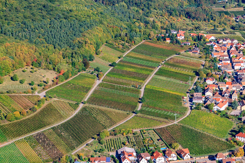 Luftbild: Weinberge am Haardtrand in Weyher in der Pfalz im Bundesland Rheinland-Pfalz in Deutschland. Foto: IMG_22221.jpg vom 15.10.2009 durch Werner Riehm/FLY-FOTO.de