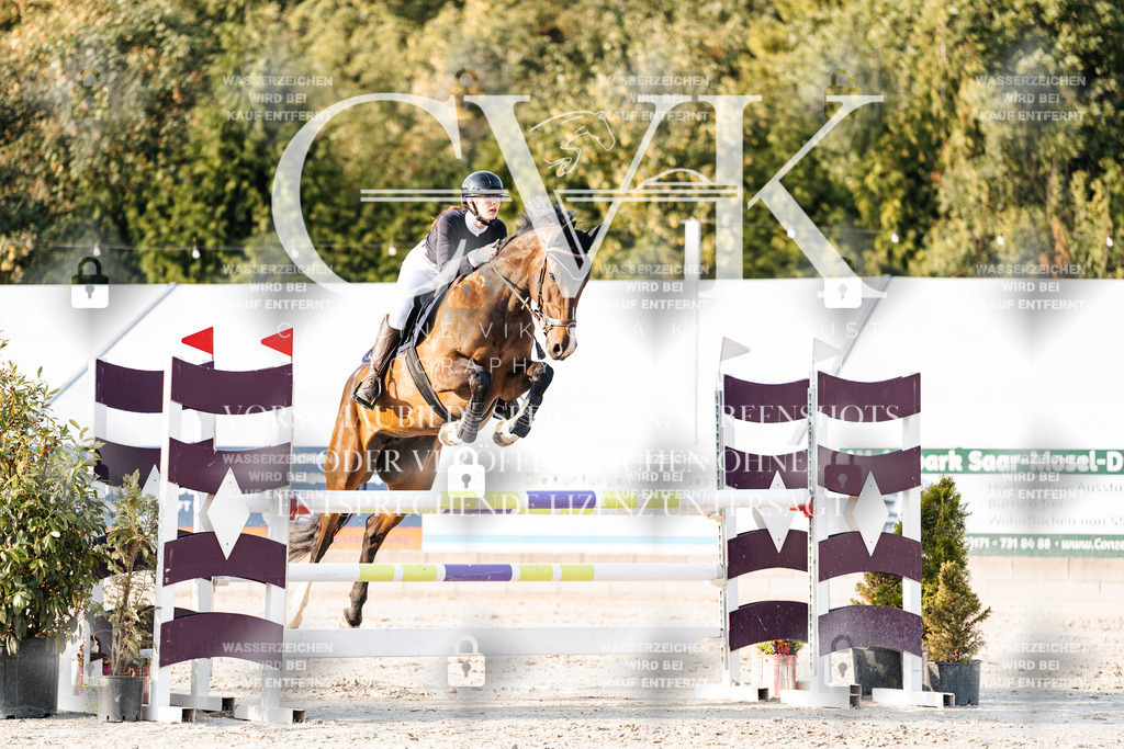 CK903535 | Turnierfotografie Pferdefotografie Trier Rheinland-Pfalz Pferdesport Reitsport Tierfotografie Sportfotografie Pferdevideo Pferdevideografie Equestrianvideography equestrianphotography  - Realisiert mit Pictrs.com