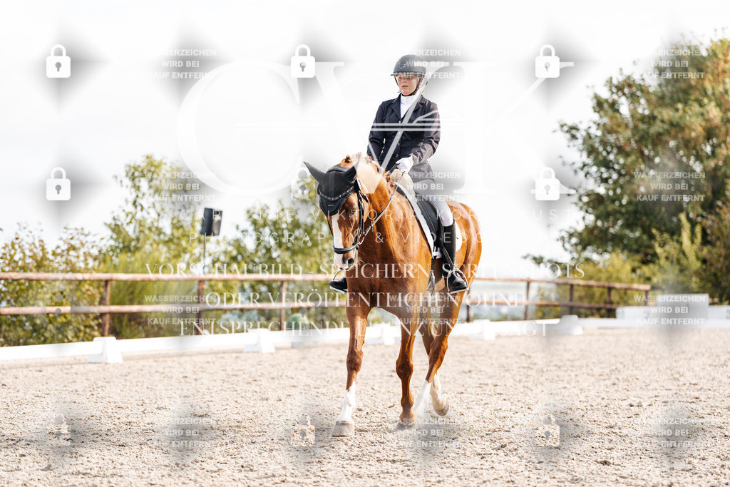 CK901324 | Turnierfotografie Pferdefotografie Trier Rheinland-Pfalz Pferdesport Reitsport Tierfotografie Sportfotografie Pferdevideo Pferdevideografie Equestrianvideography equestrianphotography  - Realisiert mit Pictrs.com