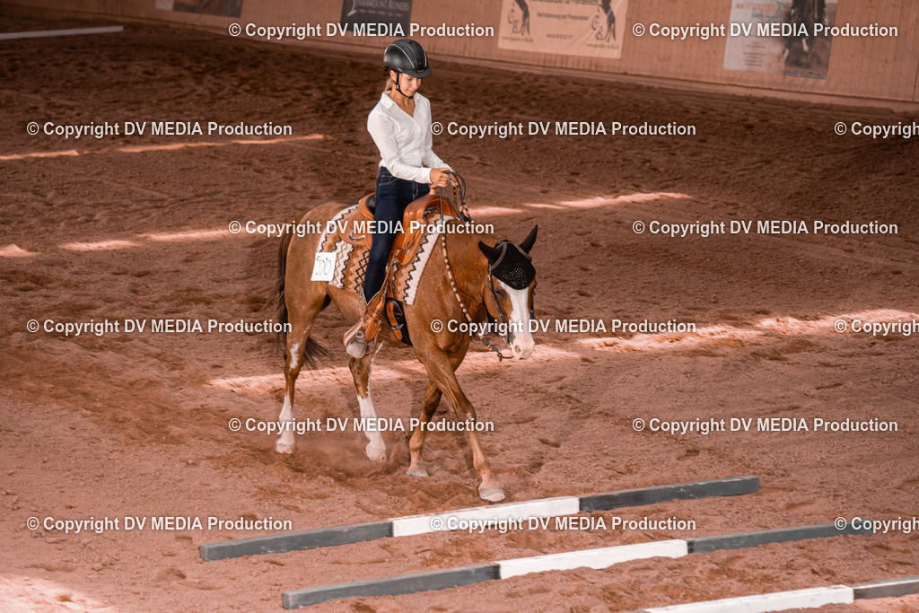 NE300382 | dv-media-shop - Realisiert mit Pictrs.com