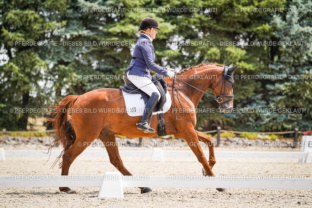 DSC00649 | Pferdegrafie