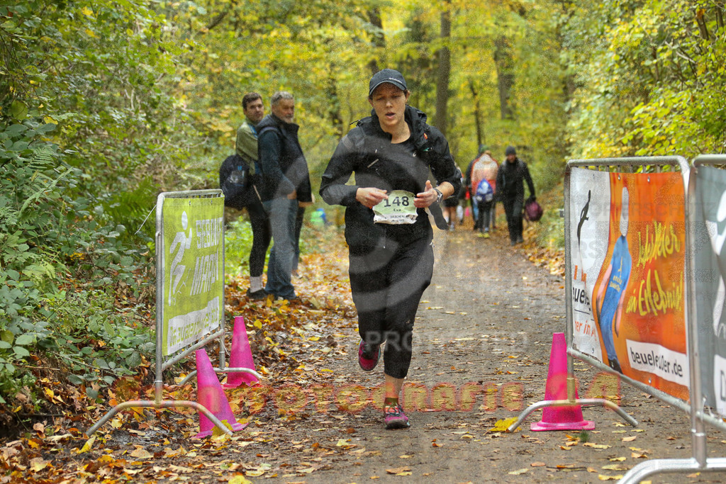 251026_1342_EX1_3882 | Sportfotografie im Rhein-Sieg Kreis, Köln, Bonn, NRW, Rheinland Pfalz, Hessen, etc. Unser Tätigkeitsfeld umfasst den Laufsport vom Volkslauf über den Marathon, Duathlon, Triathon bis zum Ultralauf wie Kölnpfad Ultra oder Schindertrail.