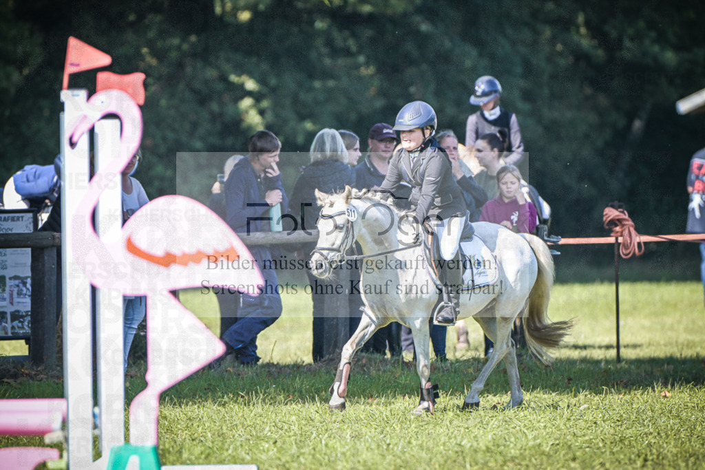 DOS_1176 | Entdecke hochwertige Reitturnierfotos von Foto Oger. Professionell, emotional und authentisch – jetzt Lieblingsmomente im Shop bestellen.Deutschlandweite Turnierfotografie. - Realisiert mit Pictrs.com