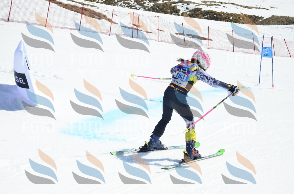 _ELE1083 | holidayphoto