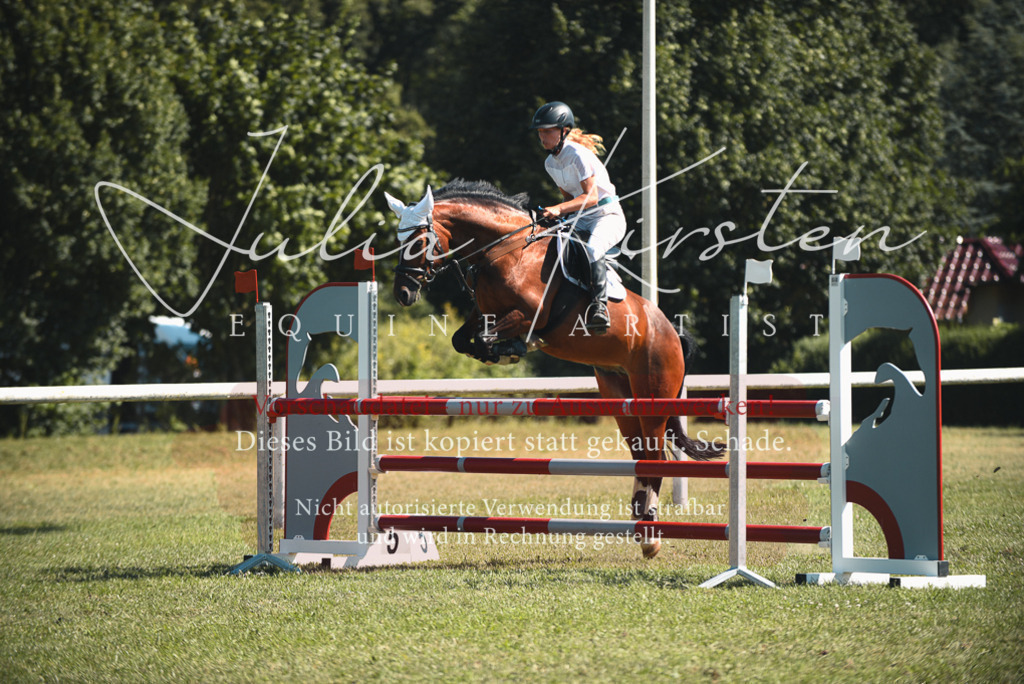 DSC_7287 | Pferde- und Turnierfotografie in Westsachsen. Pferdeportraits, Auftragszeichnungen und intuitive Kunst.