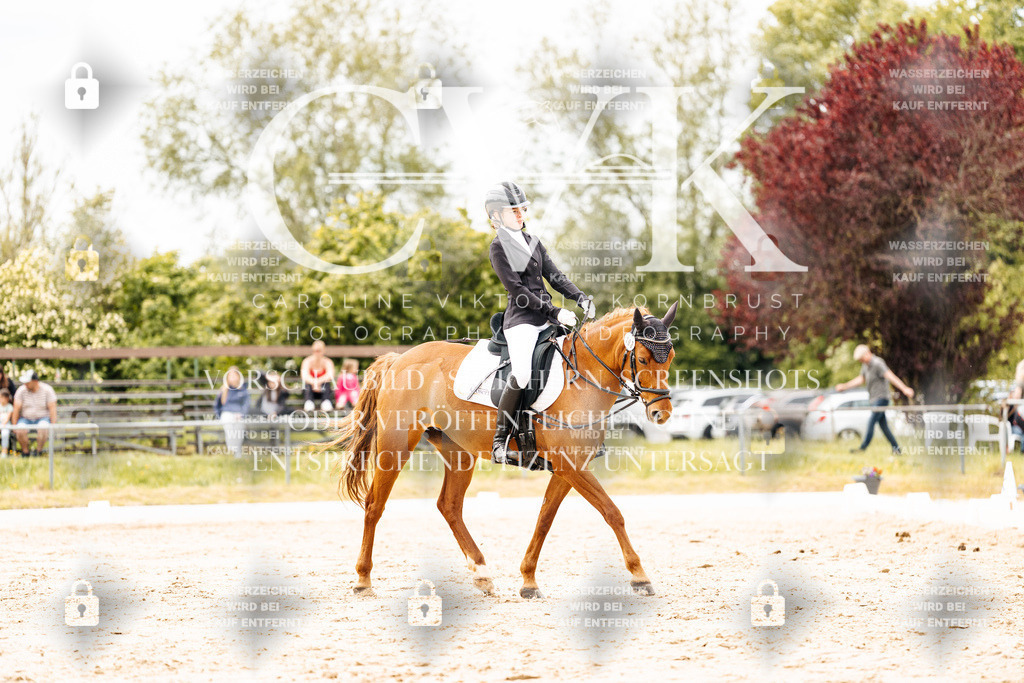 CK902953 | Turnierfotografie Pferdefotografie Trier Rheinland-Pfalz Pferdesport Reitsport Tierfotografie Sportfotografie Pferdevideo Pferdevideografie Equestrianvideography equestrianphotography  - Realisiert mit Pictrs.com