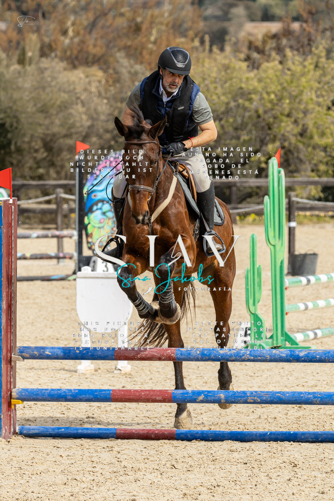 IMG_3410 | s-jay-photography - Realisiert mit Pictrs.com