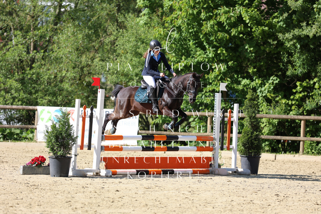 IMGS4975 | pl-fotografie