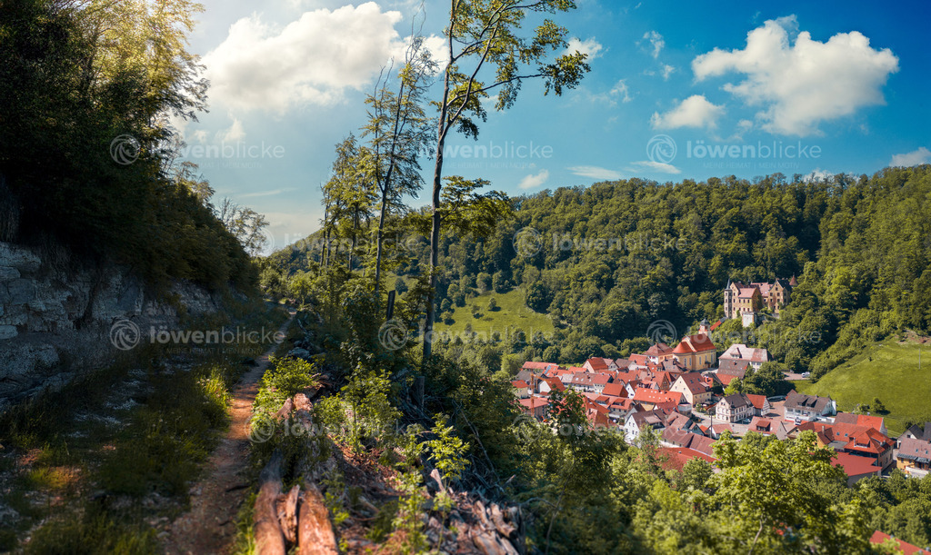 DANIEL-GIMMER-PHOTOGRAPHY_LOEWENBLICKE_0416 | löwenblicke | shop