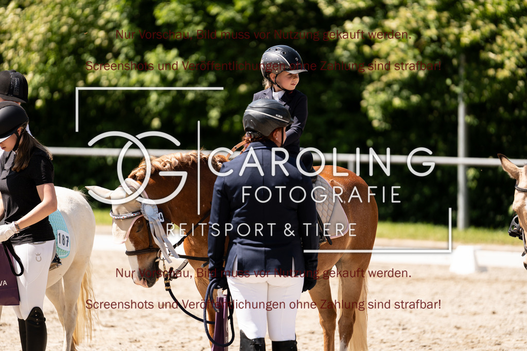 DSC00963 | Turnierfotografin Carolin Gieschke,Reitsport Turnierfotografie Carolin G Fotografie | Turnierfotos aus Kirchheim/Teck, Esslingen, Stuttgart und dem Bodenseekreis