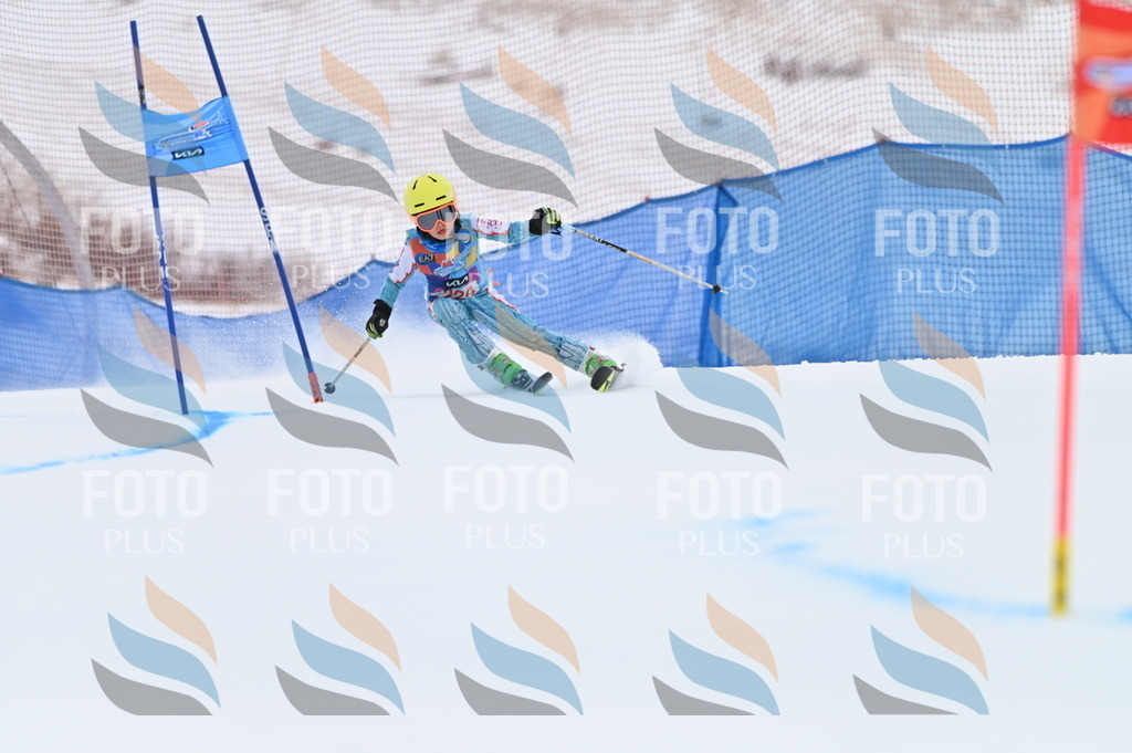 BGV_3270 | holidayphoto