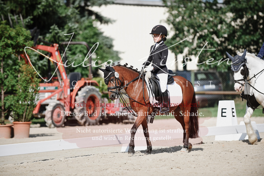 DSC_0023 | Pferde- und Turnierfotografie in Westsachsen. Pferdeportraits, Auftragszeichnungen und intuitive Kunst.