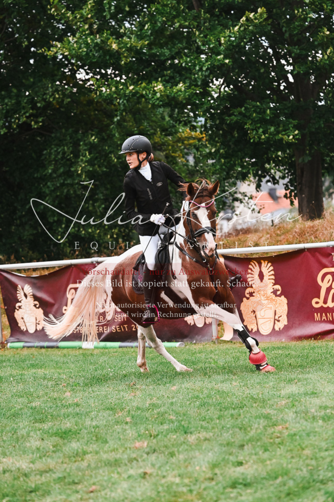 DSC_6265 | Pferde- und Turnierfotografie in Westsachsen. Pferdeportraits, Auftragszeichnungen und intuitive Kunst.