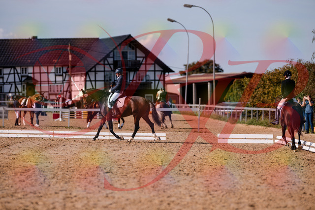 2026_10_03_Siefer-Hof_125436_Z81_42386379 | Professionelle Reitsport-, Turnier- und Eventfotografie von Robert Broda. Galerien mit ausgewählten und bearbeiteten Bildern direkt online ansehen und bestellen.