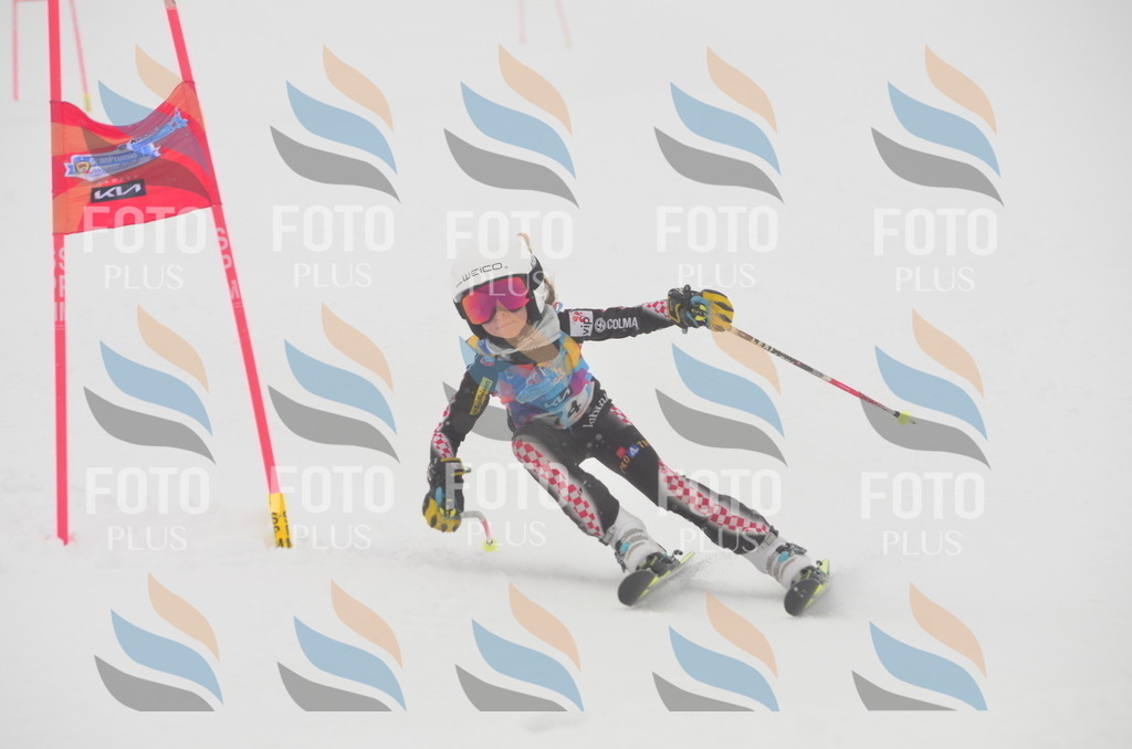 C1195 | holidayphoto