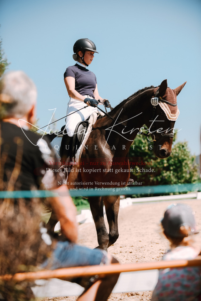 DSC_2970 | Pferde- und Turnierfotografie in Westsachsen. Pferdeportraits, Auftragszeichnungen und intuitive Kunst.